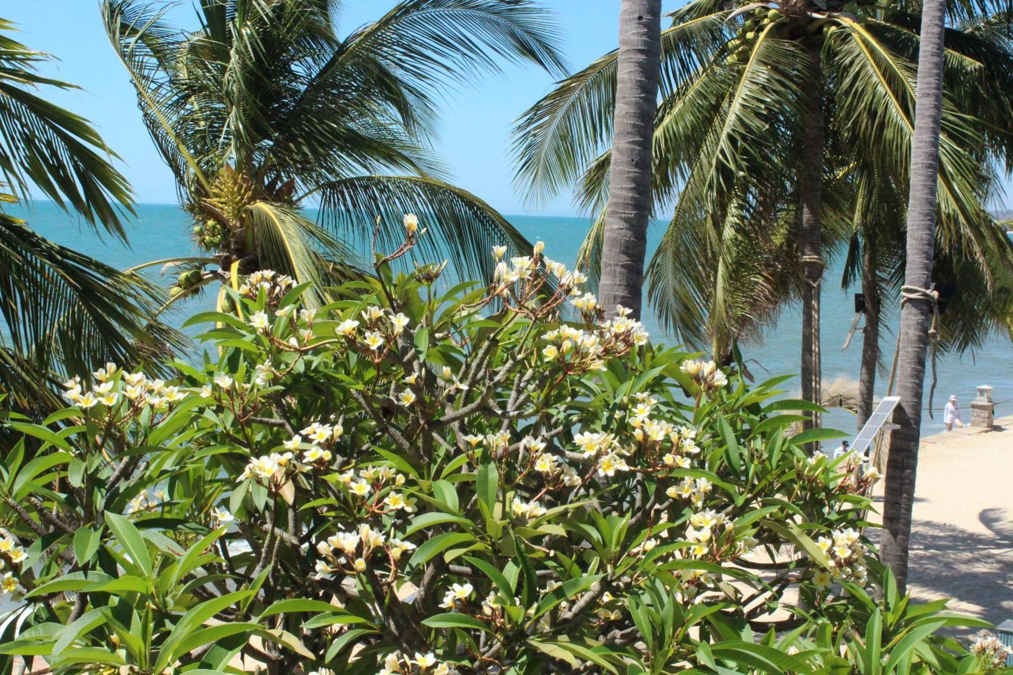 Dynasty Muine Resort Ap Thien Phuoc Eksteriør billede
