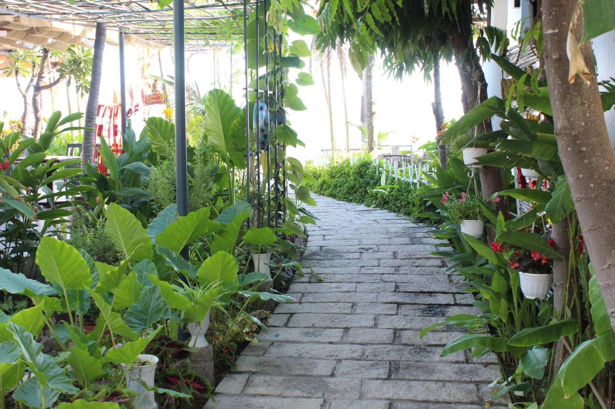 Dynasty Muine Resort Ap Thien Phuoc Eksteriør billede