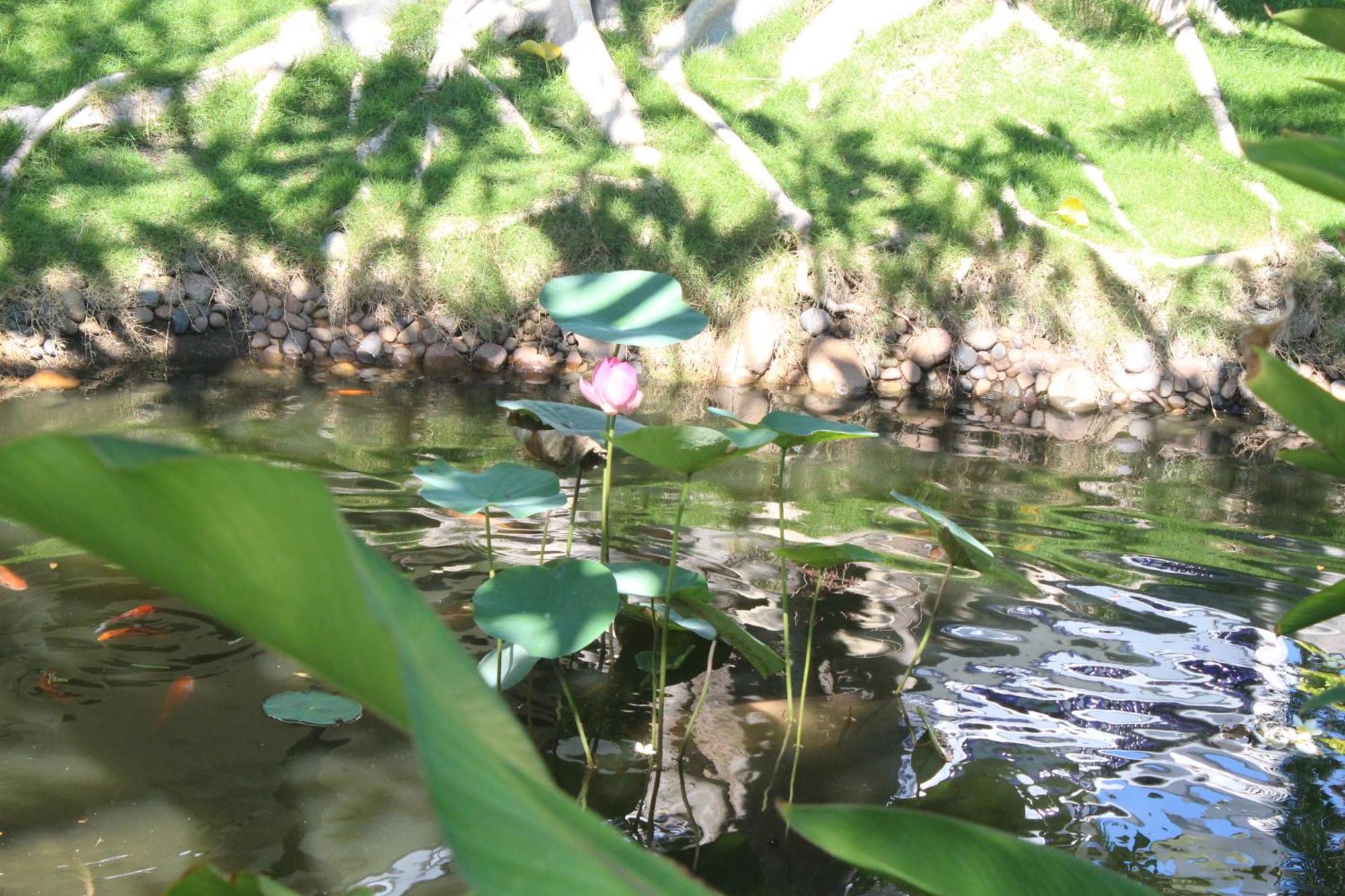 Dynasty Muine Resort Ap Thien Phuoc Eksteriør billede